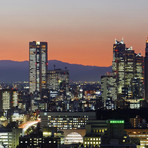 City Skyline, Shinjuku District, Tokyo, Japan Triptych