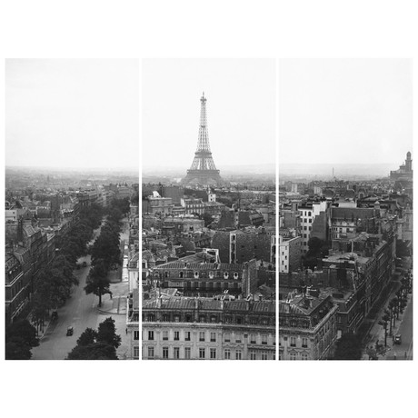 Aerial View Over Paris Triptych