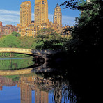 Bow Bridge + Central Park West View, NYC Triptych