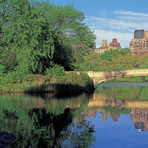 Bow Bridge + Central Park West View, NYC Triptych