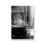 Unfurling Incense (Plexi Print // 20"L x 30"H)