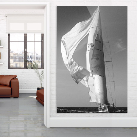 Majestic Sail (Plexi Print // 20"L x 30"H)