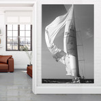 Majestic Sail (Plexi Print // 20"L x 30"H)