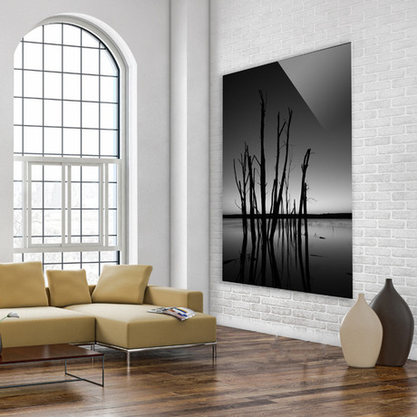 Black & White Bare Trees (Plexi Print // 20"L x 30"H)