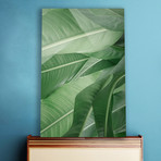 Jungle Heat (Plexi Print // 20"L x 30"H)