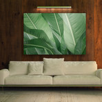 Jungle Heat (Plexi Print // 20"L x 30"H)