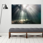 Magic Light (Plexi Print // 30"L x 20"H)