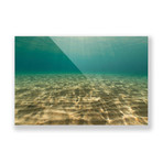 Hold Your Breath // Ocean (Plexi Print // 30"L x 20"H)