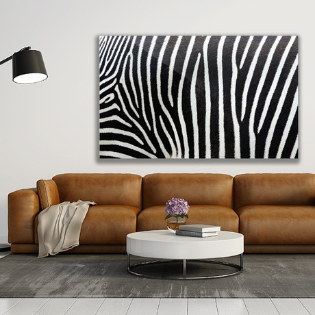 Zebra Strips (Aluminum Print // 30"L x 20"H)