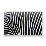 Zebra Strips (Aluminum Print // 30"L x 20"H)