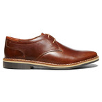 Steve Madden // Hasten // Cognac Leather (US: 10)