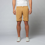 Aja Shorts // Khaki (32)