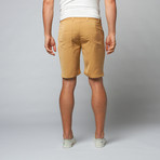 Aja Shorts // Khaki (32)