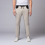 Zorry Two-Toned Joggers // Grey + Black (S)