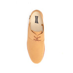 Maians // Calisto Canvas Derby // Pecan (Euro: 46)