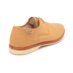 Maians // Calisto Canvas Derby // Pecan (Euro: 46)