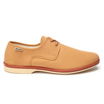 Maians // Calisto Canvas Derby // Pecan (Euro: 46)
