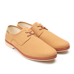 Maians // Calisto Canvas Derby // Pecan (Euro: 46)