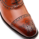 Matthew Full Brogue Cap-Toe Lace-Up Oxford Shoe // Brown (Euro: 41)