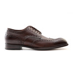 Edward Five Eyelet Wingtip Brogue Derby Shoe // Dark Brown (Euro: 41)