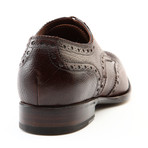 Edward Five Eyelet Wingtip Brogue Derby Shoe // Dark Brown (Euro: 41)