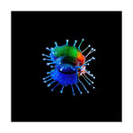 Rainbow Crown (15"L x 15"W)