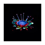 Confetti 1 (15"L x 15"W)