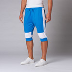 Colorblock Rib Cuff Jogger Shorts // White + Blue (2XL)