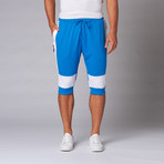 Colorblock Rib Cuff Jogger Shorts // White + Blue (L)