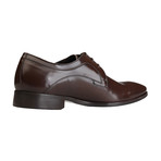 Dorian Leather Lace-Up Shoe // Brown (Euro: 41)