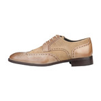 Dino Leather + Suede Brogue // Sand (Euro: 40)