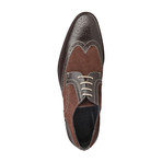 Dino Leather + Suede Brogue // Brown (Euro: 40)