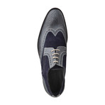 Dino Leather + Suede Brogues // Blue (Euro: 40)