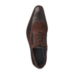 Dadino Leather + Suede Shoe // Brown (Euro: 43)