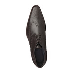 Damion Leather Lace-Up Shoe // Brown (Euro: 40)