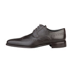 Damion Leather Lace-Up Shoe // Brown (Euro: 40)