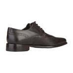 Damion Leather Lace-Up Shoe // Brown (Euro: 40)