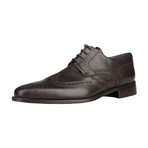 Damion Leather Lace-Up Shoe // Brown (Euro: 40)