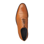 Daolo Leather Lace-Up Shoe // Tobacco (Euro: 40)