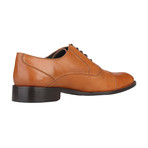 Daolo Leather Lace-Up Shoe // Tobacco (Euro: 40)