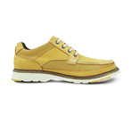 Oxford // Ochre (Euro: 42)
