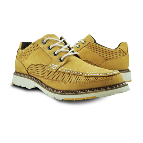 Oxford // Ochre (Euro: 42)