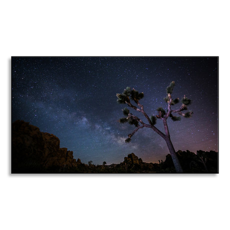 Joshua Tree With Milky Way (16"W x 12"H x 1"D)