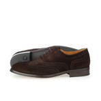 Suede Brogue Oxford // Brown (Euro: 40)