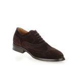 Suede Brogue Oxford // Brown (Euro: 42)