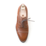 Derby Scozia Dress Shoe // Brown (Euro: 42.5)