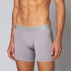 Microfiber Boxer Brief // Dapple Grey (L)