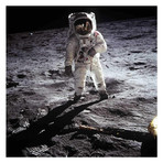 Buzz Aldrin Moonwalk // Black Frame (13”L x 13”W)