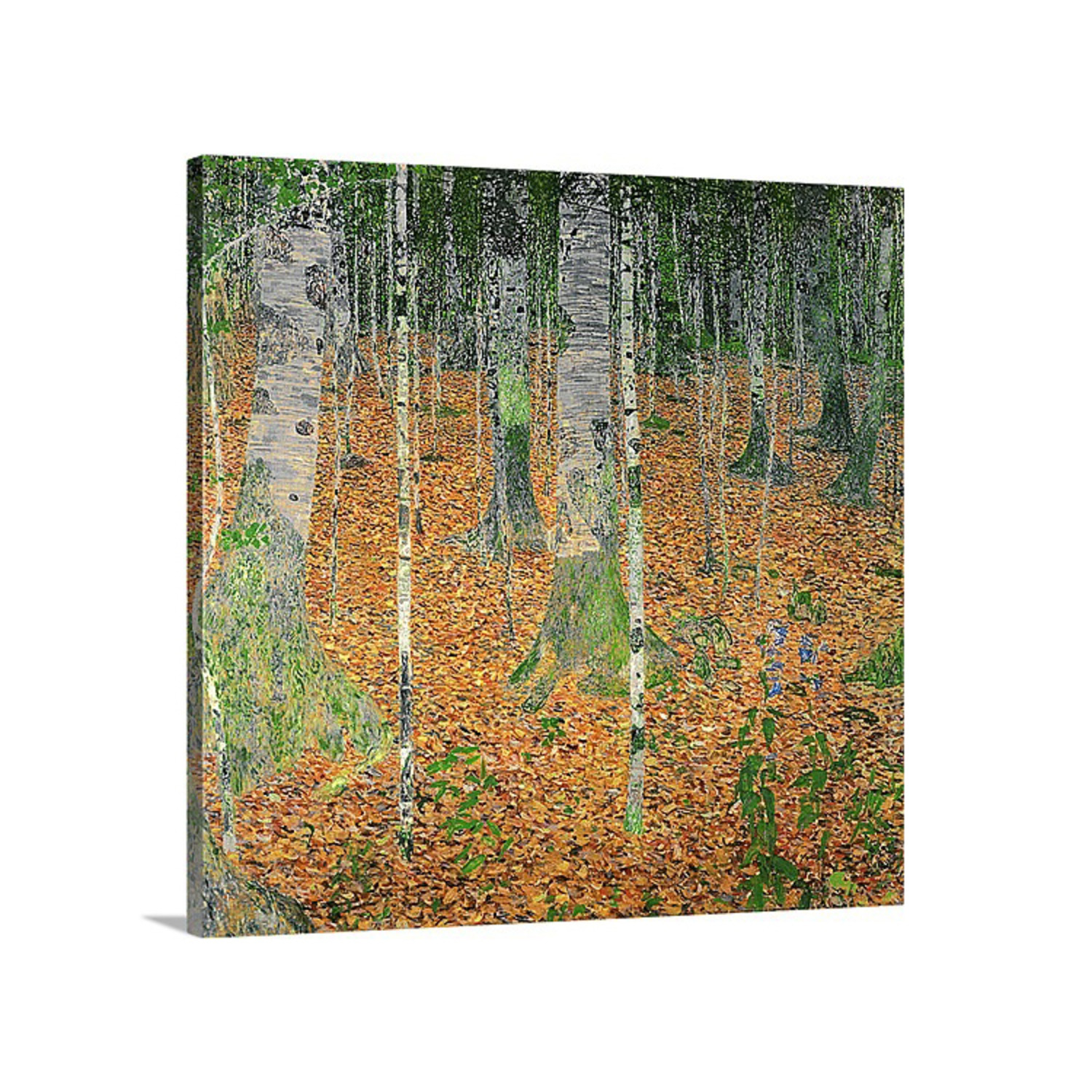 The Birch Wood (20