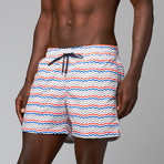 Corsaro Wave Trunks // Grey (M)